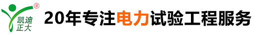 武漢凱迪正大電氣有限公司