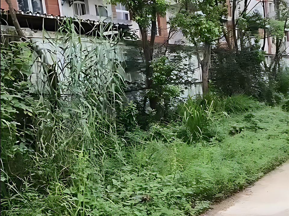 工程網(wǎng)站截圖2.jpg